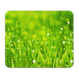 Коврик прямоугольный с принтом Роса на траве в Петрозаводске, натуральный каучук | размер 230 х 185 мм; запечатка лицевой стороны | зелёный | зелень | луг | роса | яркий