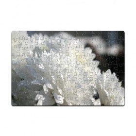 Пазл магнитный 126 элементов с принтом Белый цветок в Петрозаводске, полимерный материал с магнитным слоем | 126 деталей, размер изделия —  180*270 мм | белый | цветок | цветы