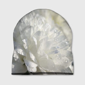 Шапка 3D с принтом Белый цветок в Петрозаводске, 100% полиэстер | универсальный размер, печать по всей поверхности изделия | белый | цветок | цветы