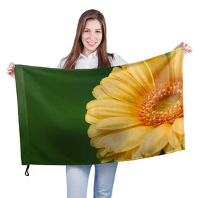 Флаг 3D с принтом Лепестки в Петрозаводске, 100% полиэстер | плотность ткани — 95 г/м2, размер — 67 х 109 см. Принт наносится с одной стороны | герберы | зелень | лепестки | природа | растения | цветы