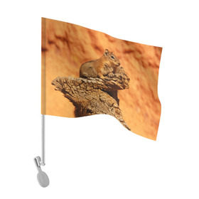 Флаг для автомобиля с принтом Суслик в Петрозаводске, 100% полиэстер | Размер: 30*21 см | голова животного | грызун | песок | природа | пустыня | степь | суслик