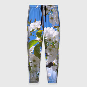 Мужские брюки 3D с принтом Вишнёвый цвет в Петрозаводске, 100% полиэстер | манжеты по низу, эластичный пояс регулируется шнурком, по бокам два кармана без застежек, внутренняя часть кармана из мелкой сетки | весна | вишня | лепестки | прикольные картинки | цветение | цветы