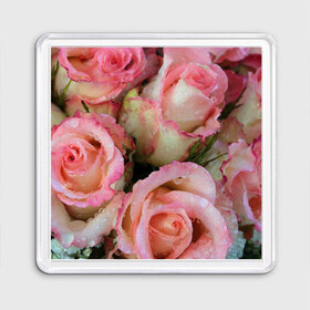 Магнит 55*55 с принтом Розы в Петрозаводске, Пластик | Размер: 65*65 мм; Размер печати: 55*55 мм | букет | вода | капли | лепестки | природа | растения | розовые | розы | роса | цветок | цветы