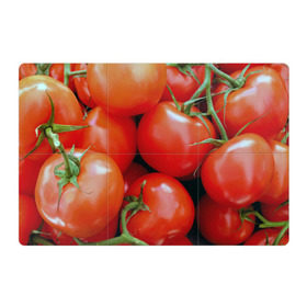 Магнитный плакат 3Х2 с принтом Томаты в Петрозаводске, Полимерный материал с магнитным слоем | 6 деталей размером 9*9 см | дача | еда | зелень | красный | овощи | огород | помидоры | томаты