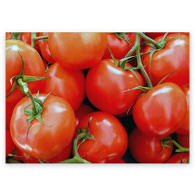 Поздравительная открытка с принтом Томаты в Петрозаводске, 100% бумага | плотность бумаги 280 г/м2, матовая, на обратной стороне линовка и место для марки
 | дача | еда | зелень | красный | овощи | огород | помидоры | томаты