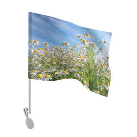 Флаг для автомобиля с принтом Ромашковый рай в Петрозаводске, 100% полиэстер | Размер: 30*21 см | лепестки | небо | прикольные картинки | ромашки | солнце | цветочки | цветы