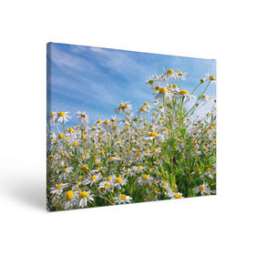 Холст прямоугольный с принтом Ромашковый рай в Петрозаводске, 100% ПВХ |  | Тематика изображения на принте: лепестки | небо | прикольные картинки | ромашки | солнце | цветочки | цветы