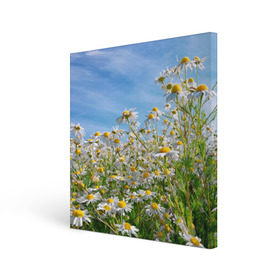Холст квадратный с принтом Ромашковый рай в Петрозаводске, 100% ПВХ |  | Тематика изображения на принте: лепестки | небо | прикольные картинки | ромашки | солнце | цветочки | цветы