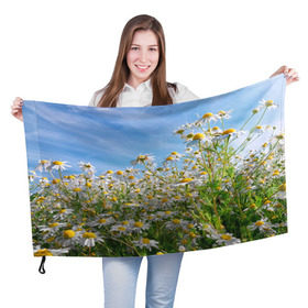 Флаг 3D с принтом Ромашковый рай в Петрозаводске, 100% полиэстер | плотность ткани — 95 г/м2, размер — 67 х 109 см. Принт наносится с одной стороны | Тематика изображения на принте: лепестки | небо | прикольные картинки | ромашки | солнце | цветочки | цветы