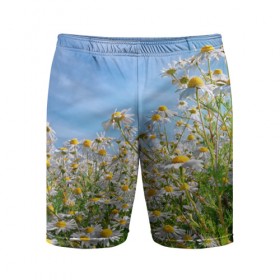 Мужские шорты 3D спортивные с принтом Ромашковый рай в Петрозаводске,  |  | лепестки | небо | прикольные картинки | ромашки | солнце | цветочки | цветы