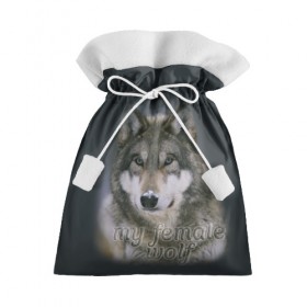 Подарочный 3D мешок с принтом Моя волчица в Петрозаводске, 100% полиэстер | Размер: 29*39 см | волк | волчица | для двоих | моя | моя волчица | парные