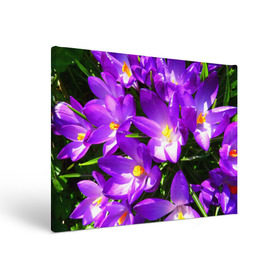 Холст прямоугольный с принтом Сиреневая прелесть в Петрозаводске, 100% ПВХ |  | лепестки | прикольные картинки | сиреневый | цветочки | цветы