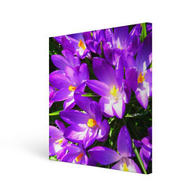 Холст квадратный с принтом Сиреневая прелесть в Петрозаводске, 100% ПВХ |  | лепестки | прикольные картинки | сиреневый | цветочки | цветы