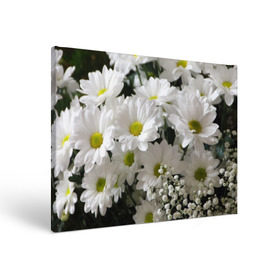 Холст прямоугольный с принтом Белоснежное цветение в Петрозаводске, 100% ПВХ |  | Тематика изображения на принте: ландыши | лепестки | прикольные картинки | ромашки | цветочки | цветы