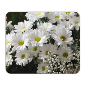 Коврик прямоугольный с принтом Белоснежное цветение в Петрозаводске, натуральный каучук | размер 230 х 185 мм; запечатка лицевой стороны | ландыши | лепестки | прикольные картинки | ромашки | цветочки | цветы