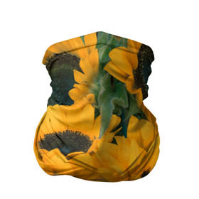 Бандана-труба 3D с принтом Подсолнухи в Петрозаводске, 100% полиэстер, ткань с особыми свойствами — Activecool | плотность 150‒180 г/м2; хорошо тянется, но сохраняет форму | желтый | зеленый | лето | подсолнухи | цветы | черный