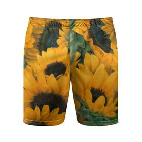 Мужские шорты 3D спортивные с принтом Подсолнухи в Петрозаводске,  |  | Тематика изображения на принте: желтый | зеленый | лето | подсолнухи | цветы | черный