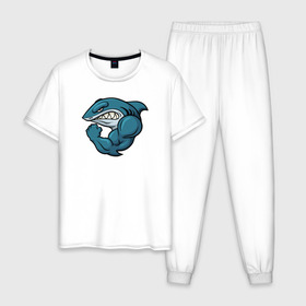 Мужская пижама хлопок с принтом Shark в Петрозаводске, 100% хлопок | брюки и футболка прямого кроя, без карманов, на брюках мягкая резинка на поясе и по низу штанин
 | акула | боксер | борец | качок