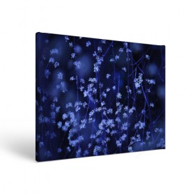 Холст прямоугольный с принтом Ночные цветы в Петрозаводске, 100% ПВХ |  | Тематика изображения на принте: лепестки | ночь | прикольные картинки | синий | цветочки | цветы