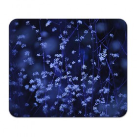 Коврик прямоугольный с принтом Ночные цветы в Петрозаводске, натуральный каучук | размер 230 х 185 мм; запечатка лицевой стороны | лепестки | ночь | прикольные картинки | синий | цветочки | цветы