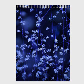 Скетчбук с принтом Ночные цветы в Петрозаводске, 100% бумага
 | 48 листов, плотность листов — 100 г/м2, плотность картонной обложки — 250 г/м2. Листы скреплены сверху удобной пружинной спиралью | Тематика изображения на принте: лепестки | ночь | прикольные картинки | синий | цветочки | цветы