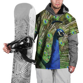 Накидка на куртку 3D с принтом Павлин в Петрозаводске, 100% полиэстер |  | Тематика изображения на принте: животные | павлин | перо | перышки | природа | птица