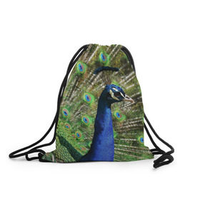 Рюкзак-мешок 3D с принтом Павлин в Петрозаводске, 100% полиэстер | плотность ткани — 200 г/м2, размер — 35 х 45 см; лямки — толстые шнурки, застежка на шнуровке, без карманов и подкладки | животные | павлин | перо | перышки | природа | птица