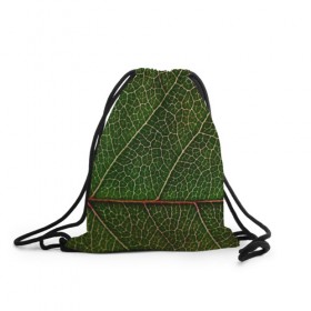 Рюкзак-мешок 3D с принтом Листик в Петрозаводске, 100% полиэстер | плотность ткани — 200 г/м2, размер — 35 х 45 см; лямки — толстые шнурки, застежка на шнуровке, без карманов и подкладки | дерево | зеленый | зелень | лист | природа | растения