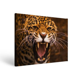 Холст прямоугольный с принтом Леопард в Петрозаводске, 100% ПВХ |  | Тематика изображения на принте: дикая кошка | клыки | леопард | оскал | хищник
