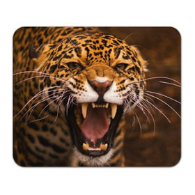 Коврик прямоугольный с принтом Леопард в Петрозаводске, натуральный каучук | размер 230 х 185 мм; запечатка лицевой стороны | Тематика изображения на принте: дикая кошка | клыки | леопард | оскал | хищник