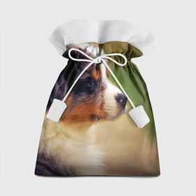 Подарочный 3D мешок с принтом Aussi в Петрозаводске, 100% полиэстер | Размер: 29*39 см | Тематика изображения на принте: австралийская овчарка | животные | пёс | собака | щенок