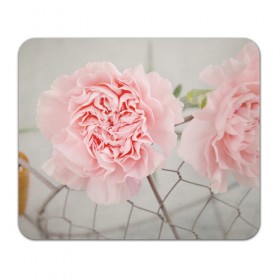 Коврик прямоугольный с принтом Розовый цветок в Петрозаводске, натуральный каучук | размер 230 х 185 мм; запечатка лицевой стороны | женская | природа | растения | розовый | цветок | цветы