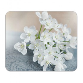 Коврик прямоугольный с принтом Белые цветочки 3 в Петрозаводске, натуральный каучук | размер 230 х 185 мм; запечатка лицевой стороны | белый | цветок | цветы