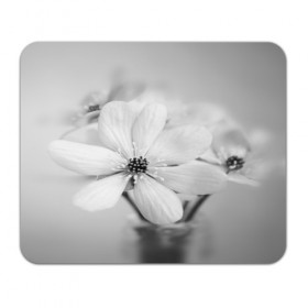 Коврик прямоугольный с принтом Белые цветочки 4 в Петрозаводске, натуральный каучук | размер 230 х 185 мм; запечатка лицевой стороны | белый | монгохромный | цветок | цветы