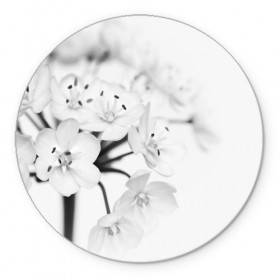 Коврик круглый с принтом Белые цветочки 5 в Петрозаводске, резина и полиэстер | круглая форма, изображение наносится на всю лицевую часть | белый | цветок | цветы