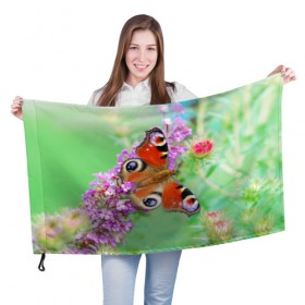 Флаг 3D с принтом Прелесть в Петрозаводске, 100% полиэстер | плотность ткани — 95 г/м2, размер — 67 х 109 см. Принт наносится с одной стороны | бабочка | лепестки | прикольные картинки | природа | цветочки | цветы