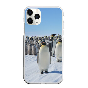 Чехол для iPhone 11 Pro матовый с принтом Пингвины в Петрозаводске, Силикон |  | пингвин