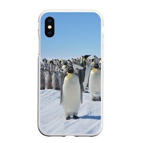 Чехол для iPhone XS Max матовый с принтом Пингвины в Петрозаводске, Силикон | Область печати: задняя сторона чехла, без боковых панелей | пингвин