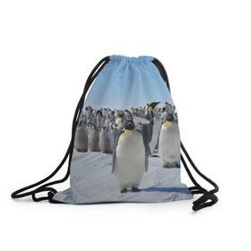 Рюкзак-мешок 3D с принтом Пингвины в Петрозаводске, 100% полиэстер | плотность ткани — 200 г/м2, размер — 35 х 45 см; лямки — толстые шнурки, застежка на шнуровке, без карманов и подкладки | пингвин
