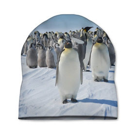 Шапка 3D с принтом Пингвины в Петрозаводске, 100% полиэстер | универсальный размер, печать по всей поверхности изделия | пингвин