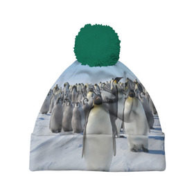 Шапка 3D c помпоном с принтом Пингвины в Петрозаводске, 100% полиэстер | универсальный размер, печать по всей поверхности изделия | пингвин
