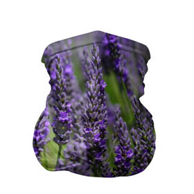 Бандана-труба 3D с принтом Лаванда в Петрозаводске, 100% полиэстер, ткань с особыми свойствами — Activecool | плотность 150‒180 г/м2; хорошо тянется, но сохраняет форму | зеленый | зелень | лаванда | лето | поле | природа | синий | цветы