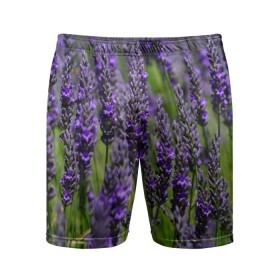 Мужские шорты 3D спортивные с принтом Лаванда в Петрозаводске,  |  | зеленый | зелень | лаванда | лето | поле | природа | синий | цветы
