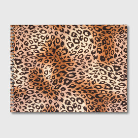 Альбом для рисования с принтом Леопардовая шкура в Петрозаводске, 100% бумага
 | матовая бумага, плотность 200 мг. | Тематика изображения на принте: гепард | гламур | леопард | мода | роскошь | шерсть