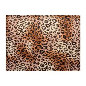 Обложка для студенческого билета с принтом Леопардовая шкура в Петрозаводске, натуральная кожа | Размер: 11*8 см; Печать на всей внешней стороне | гепард | гламур | леопард | мода | роскошь | шерсть