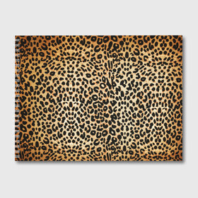 Альбом для рисования с принтом Гепард (шкура) в Петрозаводске, 100% бумага
 | матовая бумага, плотность 200 мг. | гепард | гламур | леопард | мода | пятна | роскошь | ткань | точки | шерсть
