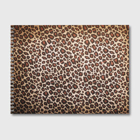 Альбом для рисования с принтом Шкура гепарда в Петрозаводске, 100% бумага
 | матовая бумага, плотность 200 мг. | гепард | гламур | леопард | мода | пятна | роскошь | ткань | точки | шерсть