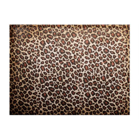 Обложка для студенческого билета с принтом Шкура гепарда в Петрозаводске, натуральная кожа | Размер: 11*8 см; Печать на всей внешней стороне | гепард | гламур | леопард | мода | пятна | роскошь | ткань | точки | шерсть