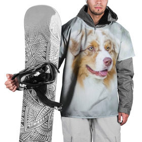 Накидка на куртку 3D с принтом Австралийская овчарка в Петрозаводске, 100% полиэстер |  | Тематика изображения на принте: австралийская овчарка | животные | природа | собака | щенок