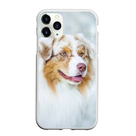 Чехол для iPhone 11 Pro Max матовый с принтом Австралийская овчарка в Петрозаводске, Силикон |  | Тематика изображения на принте: австралийская овчарка | животные | природа | собака | щенок